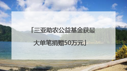 三亚助农公益基金获最大单笔捐赠50万元
