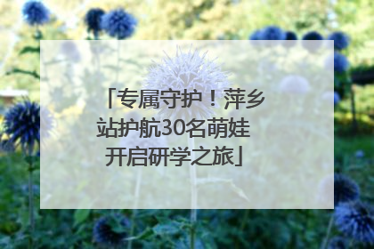 专属守护！萍乡站护航30名萌娃开启研学之旅