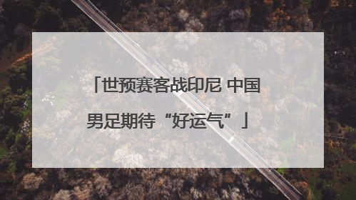 世预赛客战印尼 中国男足期待“好运气”