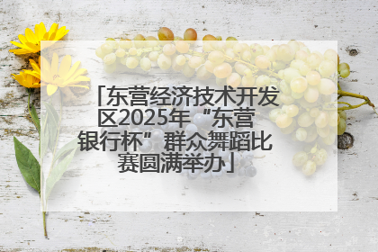 东营经济技术开发区2025年“东营银行杯”群众舞蹈比赛圆满举办