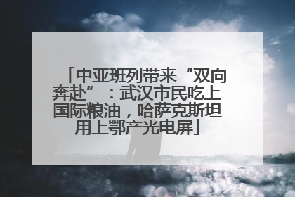 中亚班列带来“双向奔赴”：武汉市民吃上国际粮油，哈萨克斯坦用上鄂产光电屏