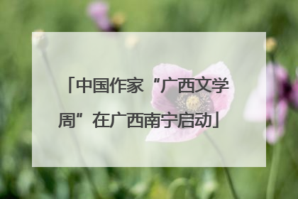 中国作家“广西文学周”在广西南宁启动