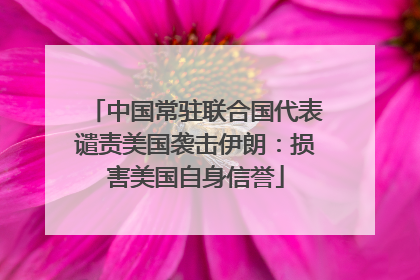 中国常驻联合国代表谴责美国袭击伊朗：损害美国自身信誉