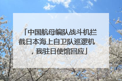 中国航母编队战斗机拦截日本海上自卫队巡逻机，我驻日使馆回应