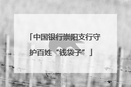 中国银行崇阳支行守护百姓“钱袋子”