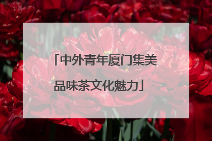 中外青年厦门集美品味茶文化魅力