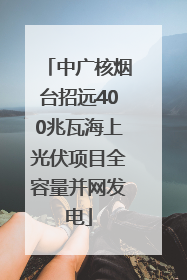 中广核烟台招远400兆瓦海上光伏项目全容量并网发电