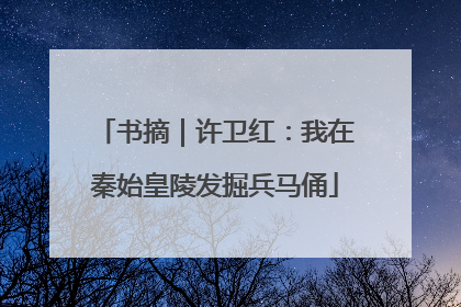 书摘｜许卫红：我在秦始皇陵发掘兵马俑