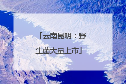 云南昆明：野生菌大量上市