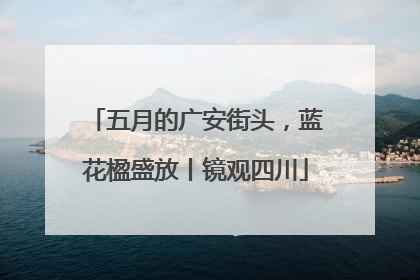 五月的广安街头，蓝花楹盛放丨镜观四川