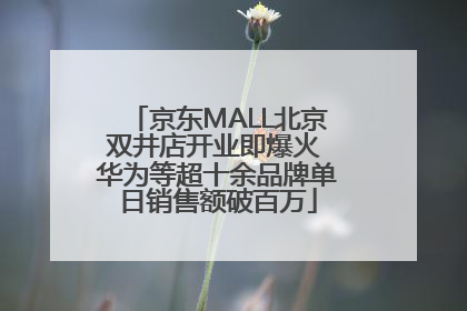 京东MALL北京双井店开业即爆火 华为等超十余品牌单日销售额破百万
