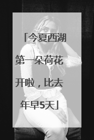 今夏西湖第一朵荷花开啦，比去年早5天