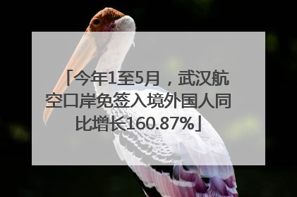 今年1至5月，武汉航空口岸免签入境外国人同比增长160.87%