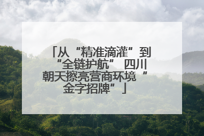 从“精准滴灌”到“全链护航” 四川朝天擦亮营商环境“金字招牌”