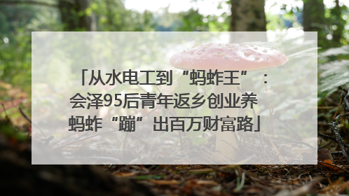 从水电工到“蚂蚱王”：会泽95后青年返乡创业养蚂蚱“蹦”出百万财富路