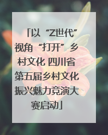 以“Z世代”视角“打开”乡村文化 四川省第五届乡村文化振兴魅力竞演大赛启动