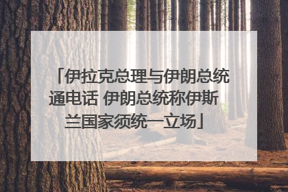 伊拉克总理与伊朗总统通电话 伊朗总统称伊斯兰国家须统一立场