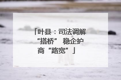 叶县：司法调解“搭桥” 稳企护商“路宽”