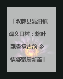 双牌县泷泊镇观文口村：粽叶飘香承古韵 乡情凝聚展新篇