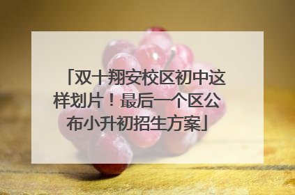 双十翔安校区初中这样划片！最后一个区公布小升初招生方案