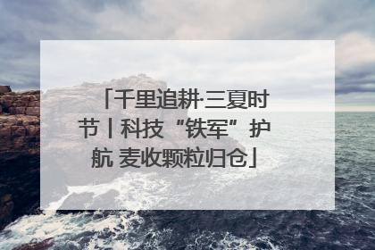 千里追耕·三夏时节丨科技“铁军”护航 麦收颗粒归仓