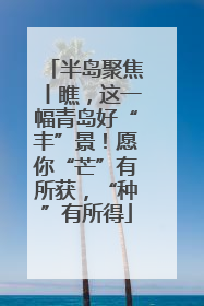 半岛聚焦丨瞧，这一幅青岛好“丰”景！愿你“芒”有所获，“种”有所得