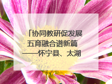 协同教研促发展 五育融合谱新篇——怀宁县、太湖县联合教研活动在月山镇中心学校成功举办