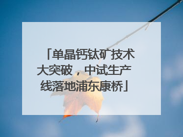 单晶钙钛矿技术大突破，中试生产线落地浦东康桥