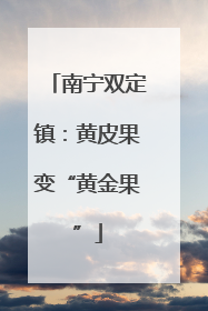 南宁双定镇：黄皮果变“黄金果”