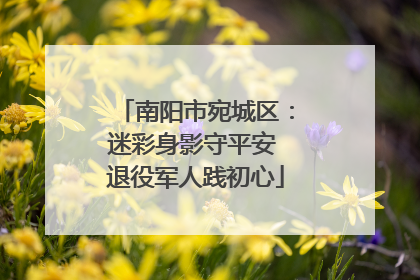 南阳市宛城区：迷彩身影守平安 退役军人践初心