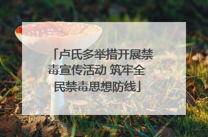 卢氏多举措开展禁毒宣传活动 筑牢全民禁毒思想防线