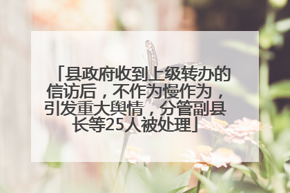 县政府收到上级转办的信访后，不作为慢作为，引发重大舆情，分管副县长等25人被处理