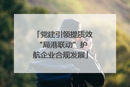 党建引领提质效 “局港联动”护航企业合规发展