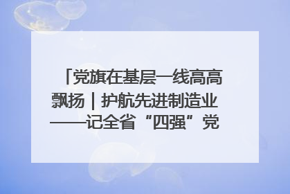 党旗在基层一线高高飘扬｜护航先进制造业——记全省“四强”党支部、省工业和信息化厅装备工业处党支部
