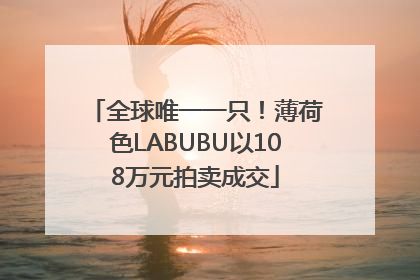 全球唯一一只！薄荷色LABUBU以108万元拍卖成交