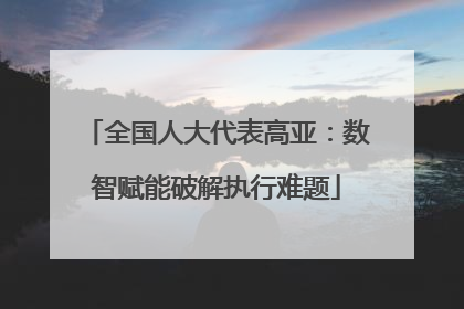 全国人大代表高亚：数智赋能破解执行难题
