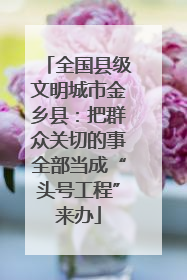 全国县级文明城市金乡县：把群众关切的事全部当成“头号工程”来办