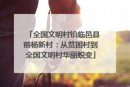 全国文明村镇临邑县前杨新村：从贫困村到全国文明村华丽蜕变