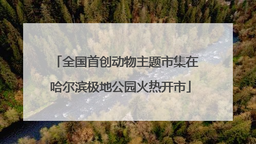 全国首创动物主题市集在哈尔滨极地公园火热开市