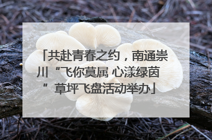 共赴青春之约，南通崇川“飞你莫属 心漾绿茵”草坪飞盘活动举办