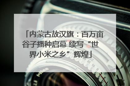 内蒙古敖汉旗：百万亩谷子播种启幕 续写“世界小米之乡”辉煌