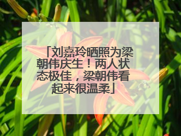 刘嘉玲晒照为梁朝伟庆生！两人状态极佳，梁朝伟看起来很温柔