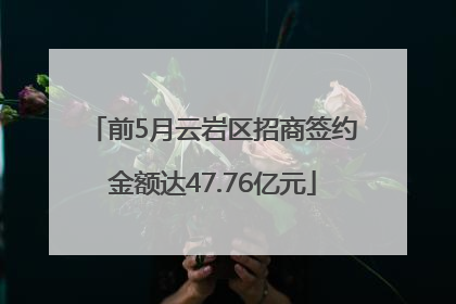 前5月云岩区招商签约金额达47.76亿元