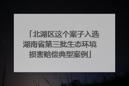 北湖区这个案子入选湖南省第三批生态环境损害赔偿典型案例