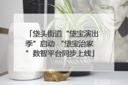 垡头街道“垡宝演出季”启动 “垡宝治家”数智平台同步上线
