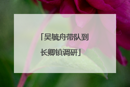 吴毓舟带队到长卿镇调研