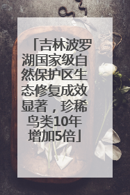 吉林波罗湖国家级自然保护区生态修复成效显著，珍稀鸟类10年增加5倍