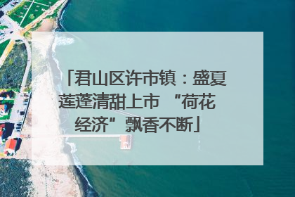君山区许市镇：盛夏莲蓬清甜上市 “荷花经济”飘香不断