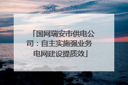 国网瑞安市供电公司：自主实施强业务 电网建设提质效