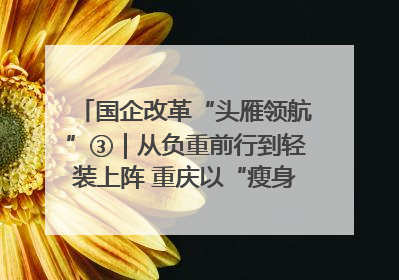 国企改革“头雁领航”③｜从负重前行到轻装上阵 重庆以“瘦身”谋“健体”